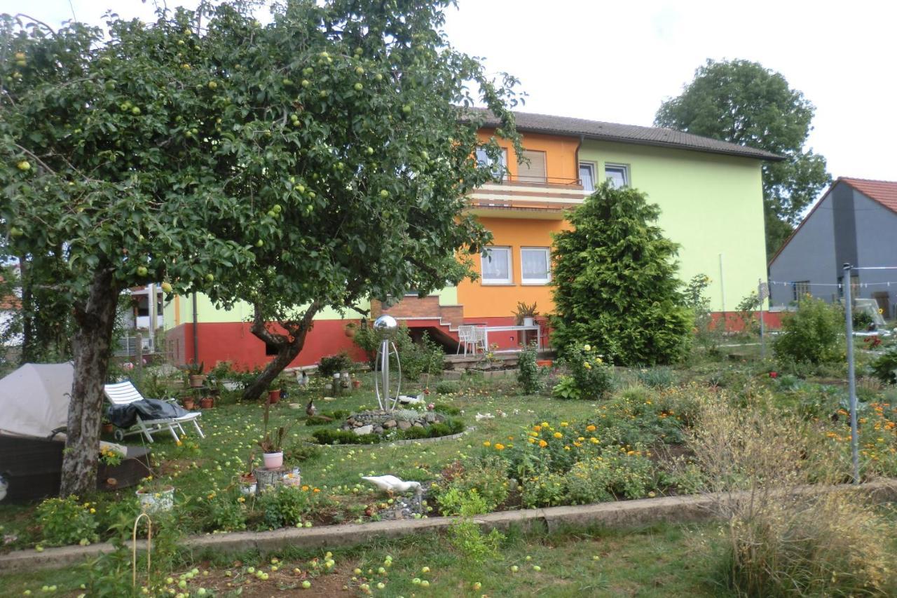 Gaestezimmer Vogelsberg Freiensteinau Kültér fotó